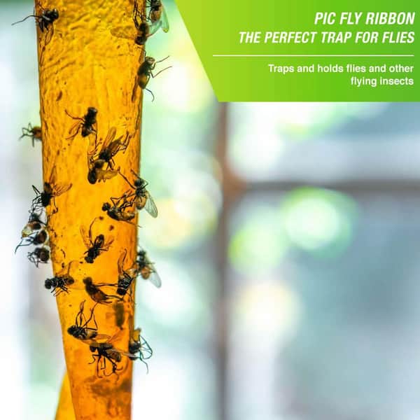 Premium Photo  Sticky tape for catching flies and other insects