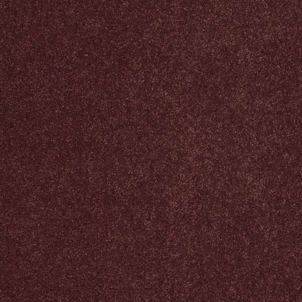 SoftSpring Carpet Sample - Miraculous II - Color Salsa Texture 8 in. x 8 in.