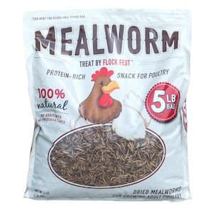 5 lbs. Bag Dried Mealworms for Chickens, Wild Birds, Ducks and Small Pets (2-Pack)