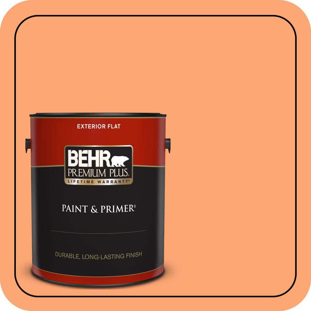 1 gal. #240B-4 Marmalade Flat Exterior Paint & Primer price history on PriceWatchPro