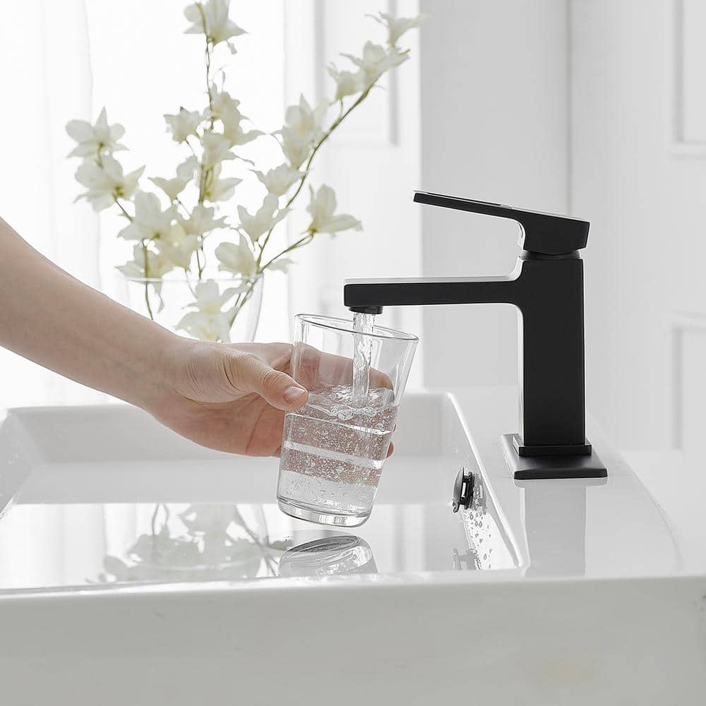 Matte Black Single-Handle Bathroom Faucet with Drain Assembly