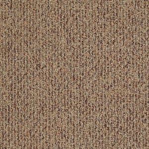 Fallbrook - Terra Cotta - Orange 19 oz. SD Olefin Berber Installed Carpet