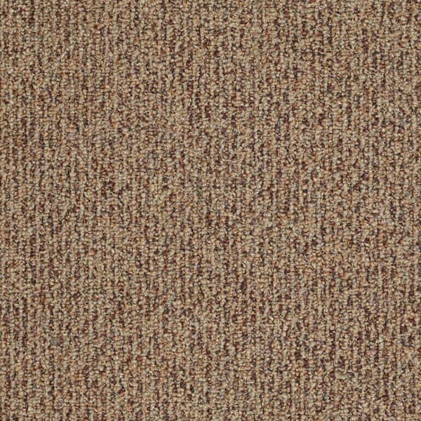 TrafficMaster Fallbrook - Color Terra Cotta Indoor/Outdoor Berber Orange Carpet