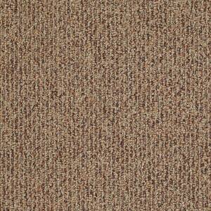 Fallbrook - Color Terra Cotta Indoor/Outdoor Berber Orange Carpet