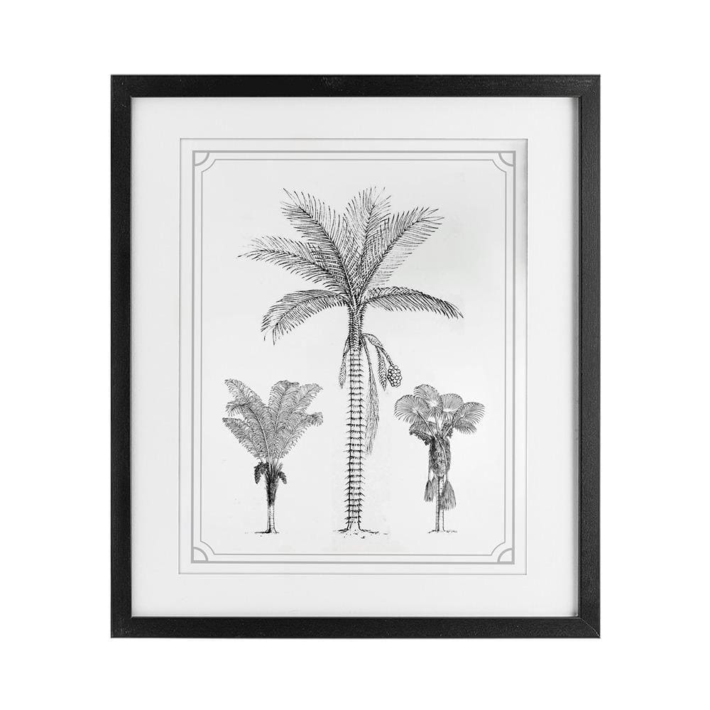 Stupell Industries Palm Tree Trio Sketches by Lettered and Lined Black ...