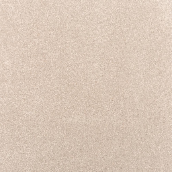 8 in. x 8 in. Texture Carpet Sample - Waking Up II - Color Whisper