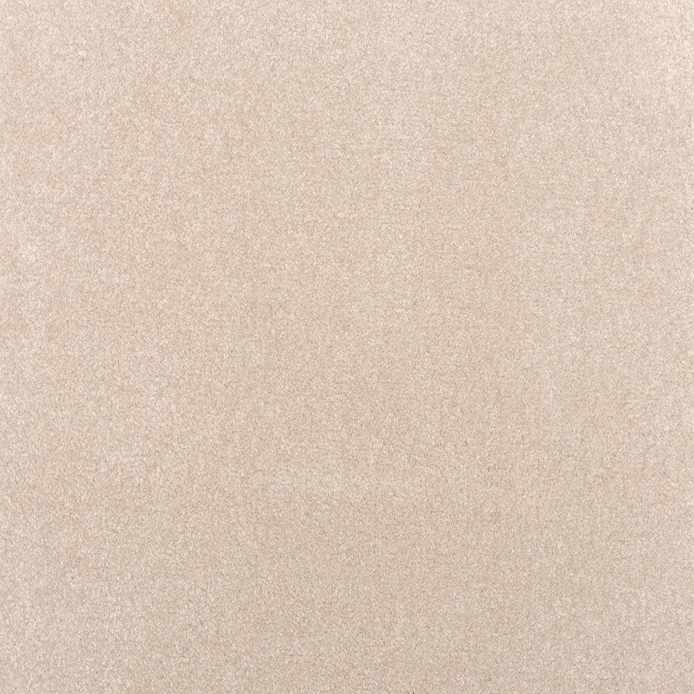 8 in. x 8 in. Texture Carpet Sample - Waking Up I - Color Whisper price history on PriceWatchPro