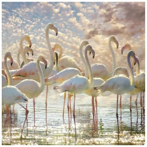 38 in. x 38 in. "Flamingo Flair" Unframed Floating Tempered Glass Panel Animal Art Print Wall Art
