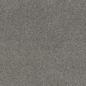 Columbus II - Armor - Gray 74.9 oz. SD Polyester Texture Installed Carpet
