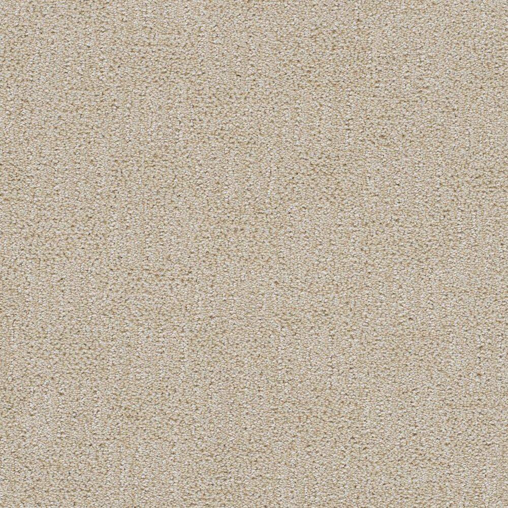 8 in. x 8 in. Pattern Carpet Sample - Nestled Nooks - Color Safe price history on PriceWatchPro