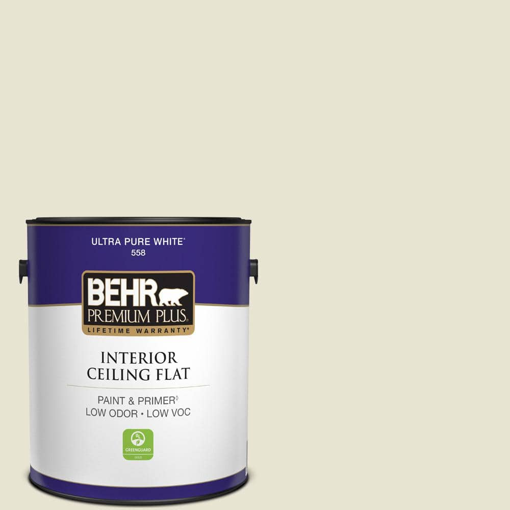 https://images.thdstatic.com/productImages/cc07413e-6798-4d89-a38a-1857c0efbd39/svn/off-white-behr-premium-plus-paint-colors-55801-64_1000.jpg