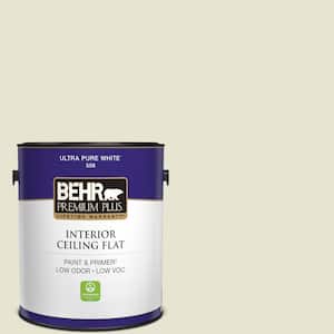 1 gal. #73 Off White Ceiling Flat Interior Paint