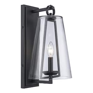 Siobhan 15.5 in. 1-Light Black Outdoor Wall Light Fixture with Clear Glass