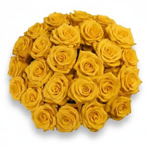 25-Stem Yellow Roses with Glass Vase-Fresh Cut Rose Arrangement