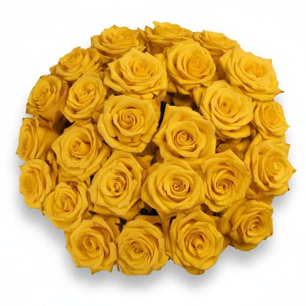 FLORAVAS 25-STEM YELLOW ROSES WITH GLASS VASE-FRESH CUT ROSE ARRANGEMENT