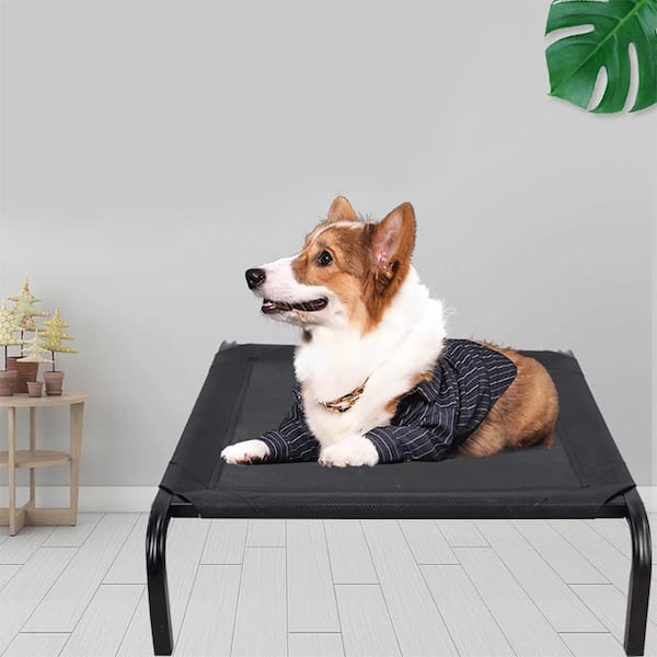 Dog beds clearance black