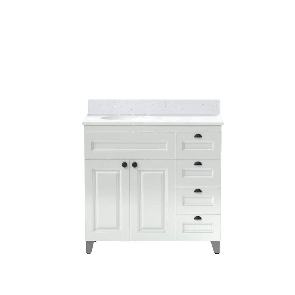 Home Decorators Collection 36 in. Metal Bathroom Vanity in White with