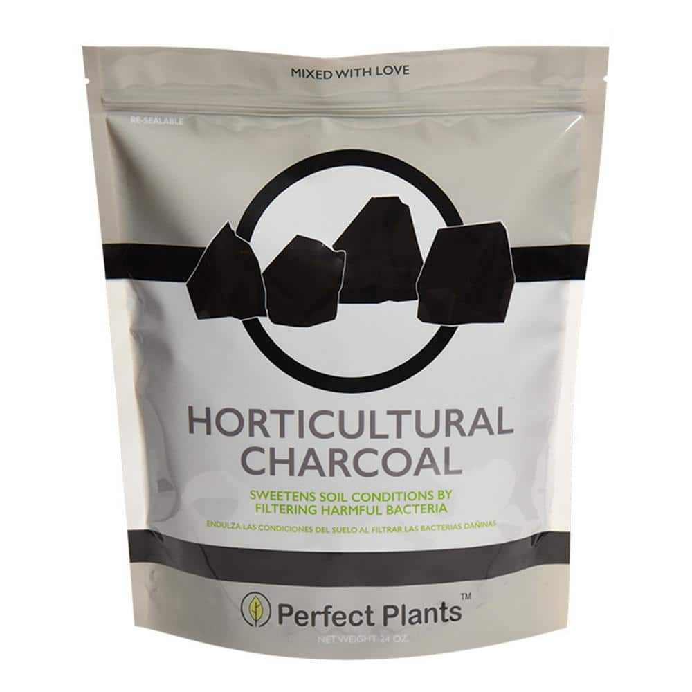 Horticultural Charcoal for Sale  Terrariums, Indoor & Outdoor Use