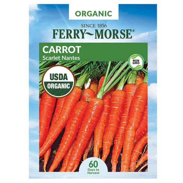 Organic Carrot Scarlet Nantes Vegetable Seed