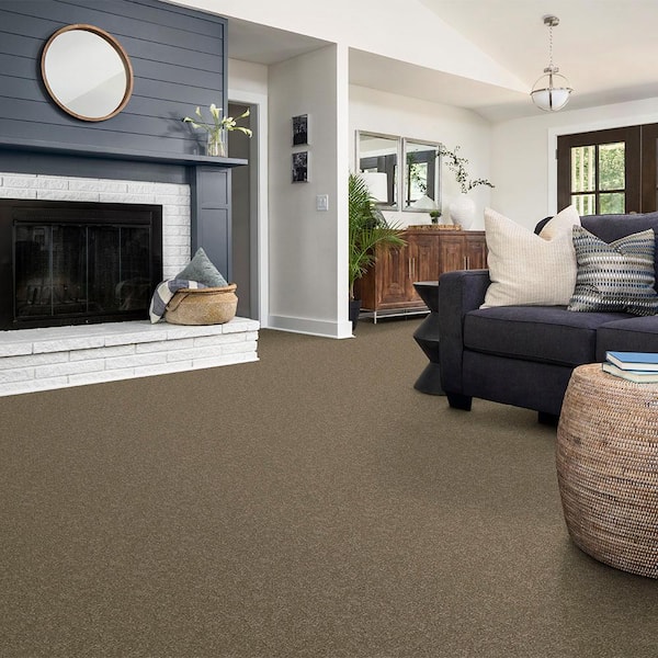 Alpine - Will Power - Brown 17.3 oz. Polyester Texture Installed Carpet