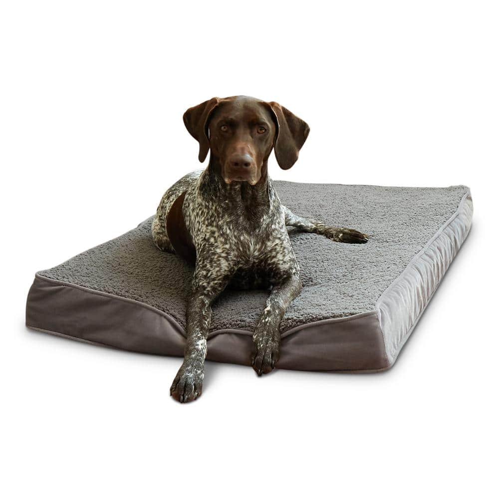 Medium Gray Sherpa Orthopedic Dog Bed with Egg Crate Foam