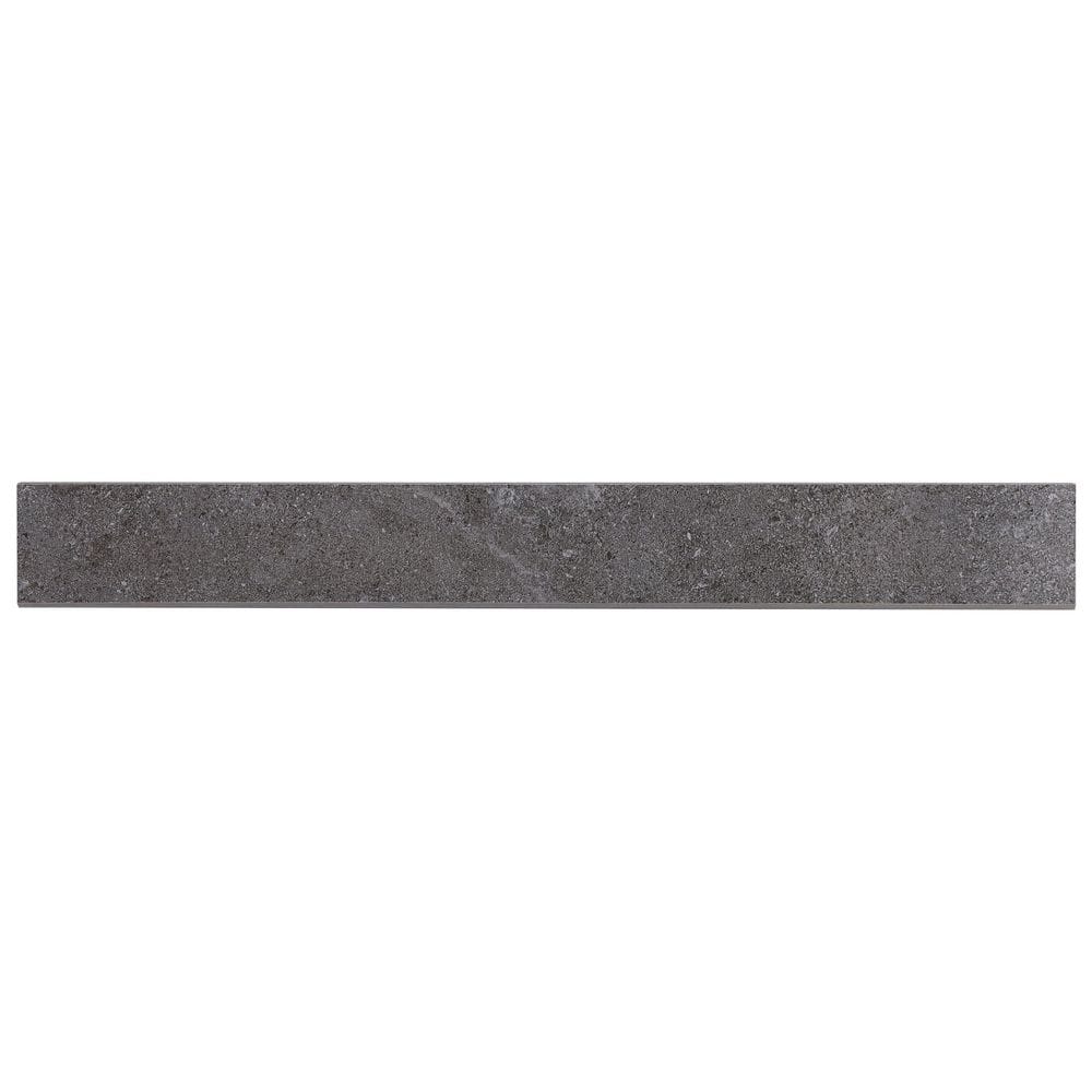Iris Fossil Gray 2.75 in. x 23.62 in. Matte Porcelain Bullnose Wall Tile Trim price history on PriceWatchPro