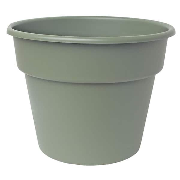 Bloem Dura Cotta 12 in. Living Green Plastic Planter