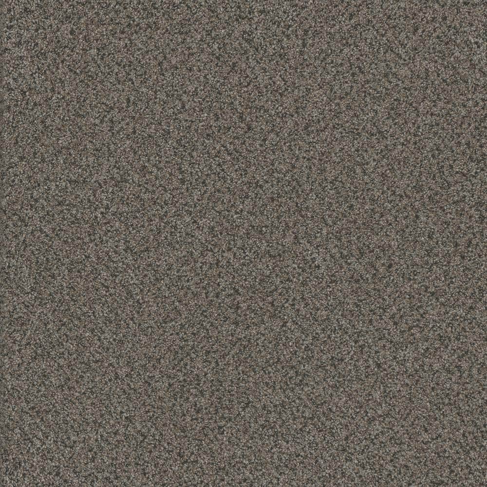 8 in. x 8 in. Texture Carpet Sample - Serene Glory III - Color Mellow price history on PriceWatchPro
