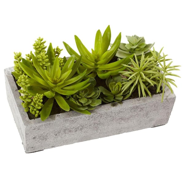 Nearly Natural Artificial Succulent Garden with Concrete Planter
