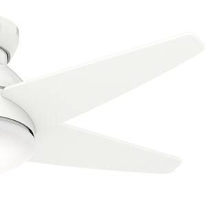 Isotope 44 in. LED Fresh White Indoor Ceiling Fan with Light and Wall Control