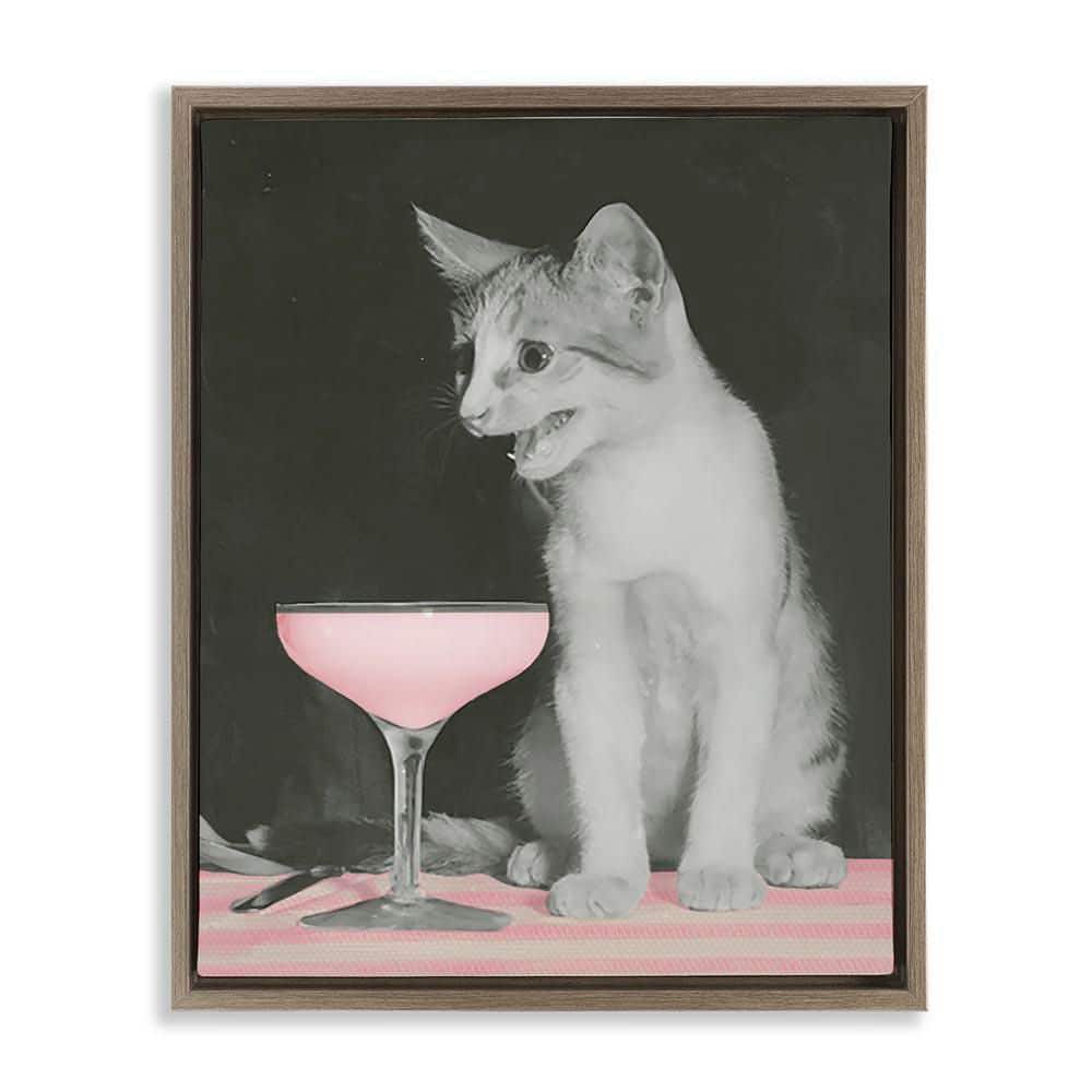 Cat and Pink Drink by Daphne Polselli Brown Floater Frame Food Graphic Art Print 31 in. x 25 in. price history on PriceWatchPro