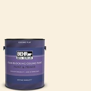 1 gal. #350E-1 Moonlight White Ceiling Flat Interior Paint with Primer