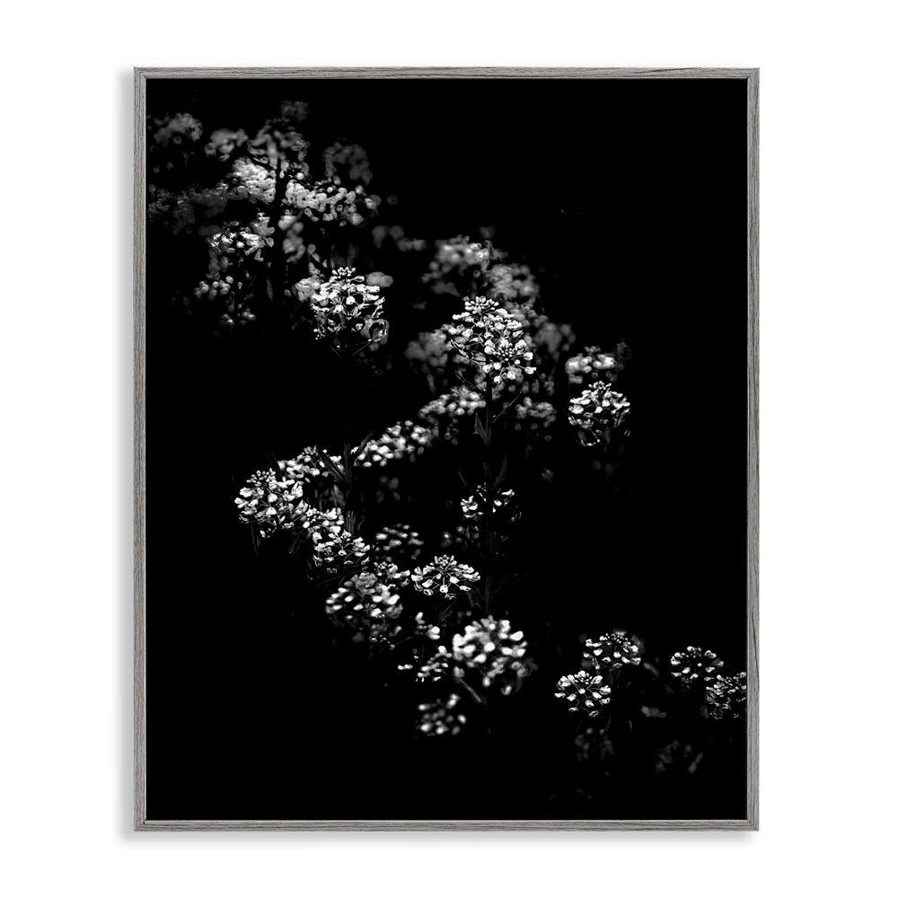 Curved Blossom Line by Brian Carson Gray Framed Nature Giclee Art Print 14 in. x 11 in. price history on PriceWatchPro