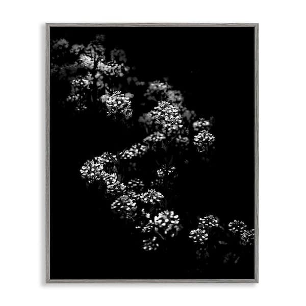 Stupell Industries Curved Blossom Line by Brian Carson Gray Framed Nature Giclee Art Print 14 in. x 11 in.