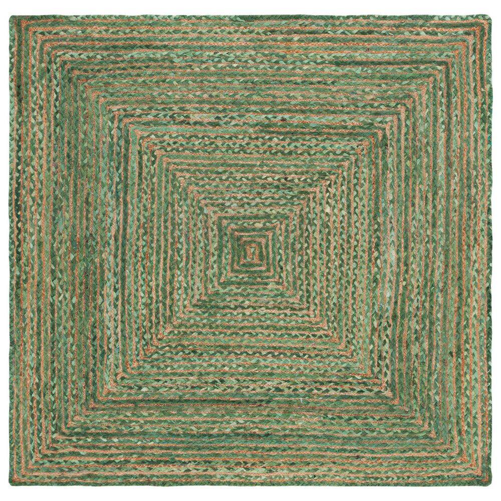 Cape Cod Green/Natural 4 ft. x 4 ft. Striped Border Square Area Rug price history on PriceWatchPro