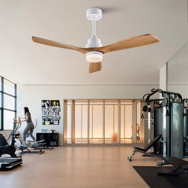 52 in. Antique White Natural Wood Downrod Mount Standard Ceiling Fan with Integrated LED and Remote Included