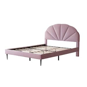 Purple Frame Queen Size of Luxury Velvet Platform Bed with Seashell-Shaped Headboard