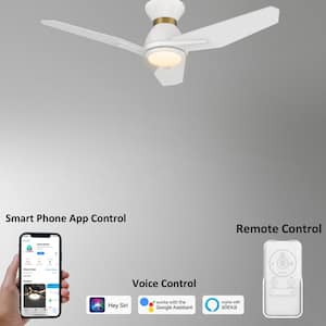 Tilbury II 44 in. Integrated LED Indoor/Outdoor White Smart Ceiling Fan with Light, Remote Works with Alexa/Google Home