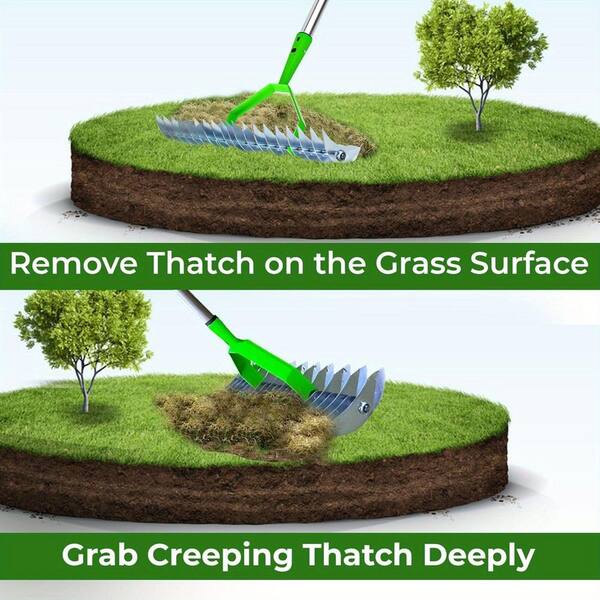 Siavonce 52.8 in. Thatch Rake, Efficient Steel Metal Lawn Grass