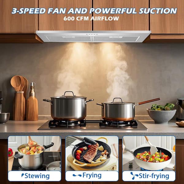Tylza 28 in. 600 CFM Convertible Insert Range Hood with 2-Charcoal