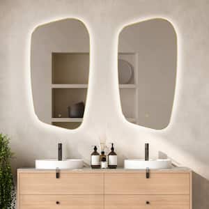 Florian 26 in. W x 48 in. H Rectangular Framed LED Bathroom Vanity Mirror in Brushed Gold