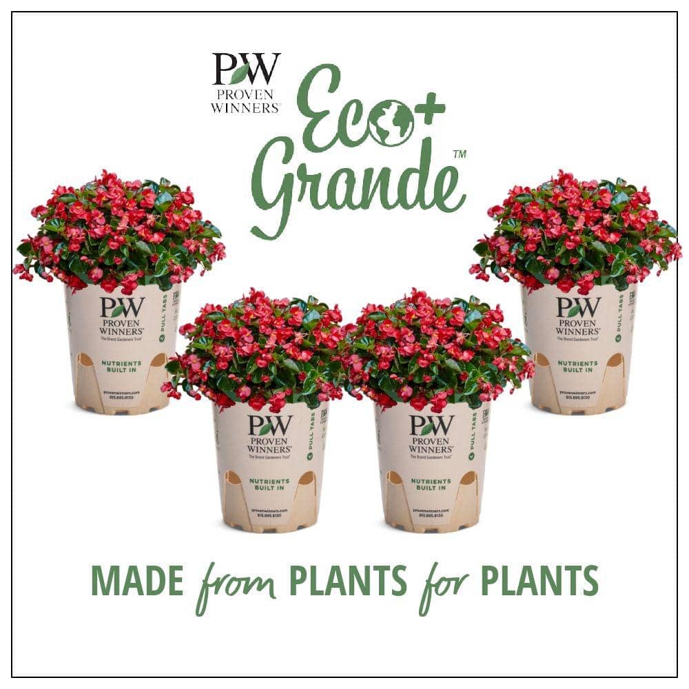 proven-winners-annuals-