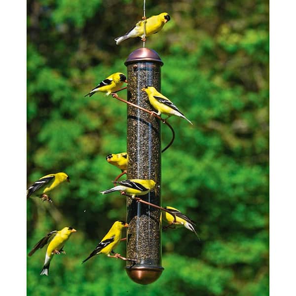 BIRDS CHOICE NYJER MADE IN THE USA 1 1/2 QT THISTLE SEED GOLDINCH FEEDER 
