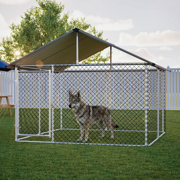 7.5 ft.W x 7.9 ft.D Metal Shed Outdoor Dog Kennel for Large Dog w
