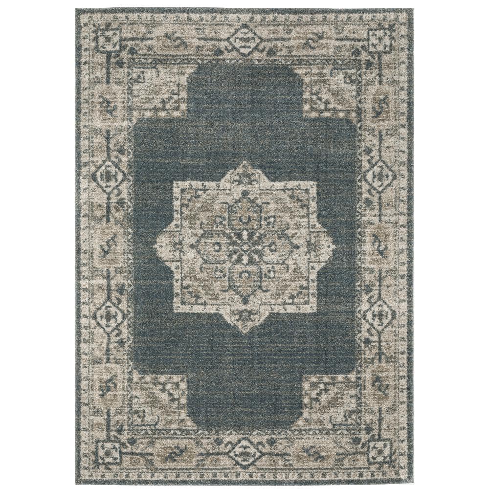 Apex Blue/Beige 8 ft. x 11 ft. Distressed Persian Medallion Polyester Indoor Area Rug price history on PriceWatchPro