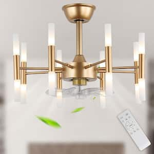 Modern 23 in. Indoor Gold Standard Reversible Ceiling Fan with Lights and Remote, Luxury 6-Speed Ceiling Fan