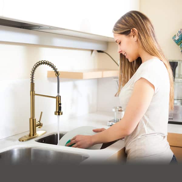 Single Handle Pull Down Sprayer Kitchen Faucet with Pull Out Spray Wand in Gold