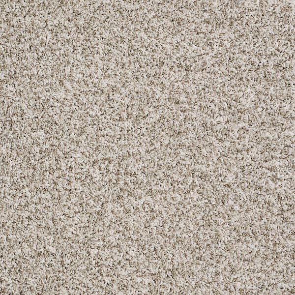 TrafficMaster Leading Edge - Color Seashell Texture 12 ft. Carpet