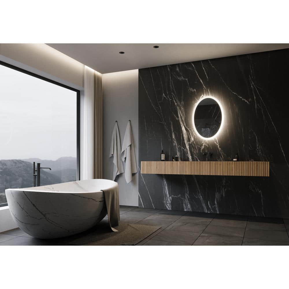 20 in. W x 28 in. H Oval Frameless Wall Mounted Bathroom Vanity Mirror 3000K LED price history on PriceWatchPro