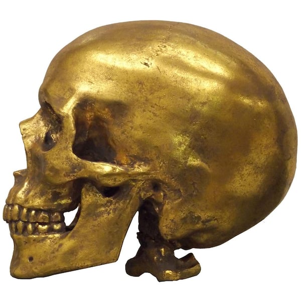 House Parts Human Skull in Gilded Gold finish 4455-7-2-07-05